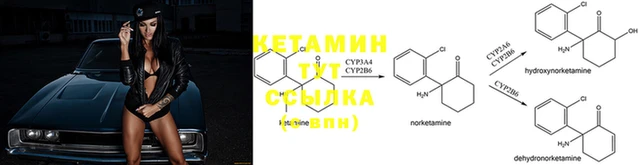 2c-b Абдулино