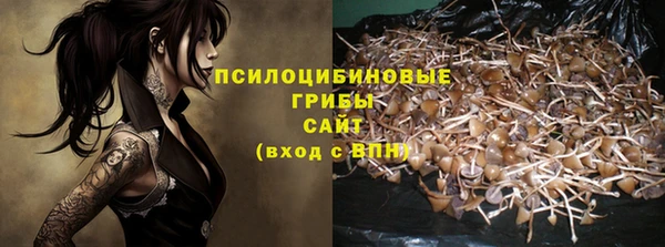 mix Алексин