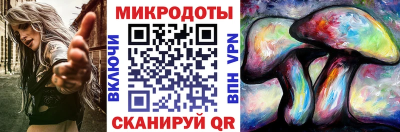 Псилоцибиновые грибы Psilocybine cubensis Десногорск