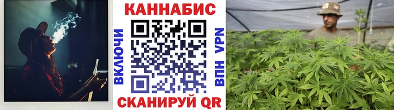 наркотики  Десногорск  Конопля OG Kush 